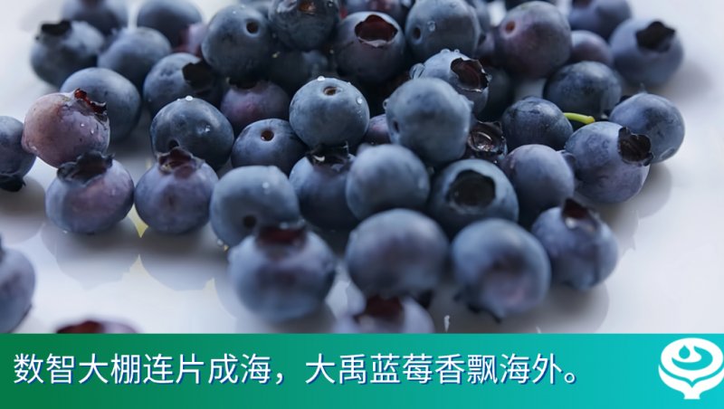 GA 黄金甲体育官方网站
